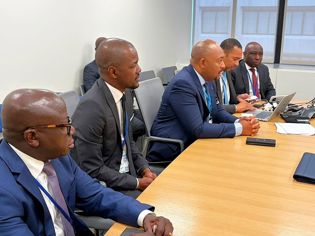 From Bangui to Banjul: we hand the African Caucus platforms over to The Gambia